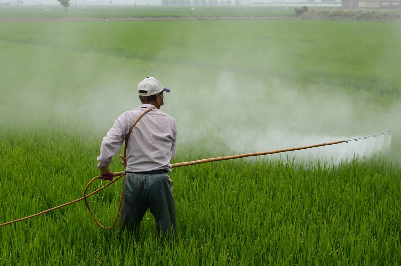 Herbicide application in agricultural field